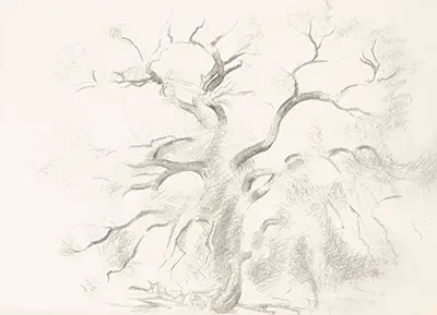 Untitled (Cottonwood Tree) Georgia O'Keeffe